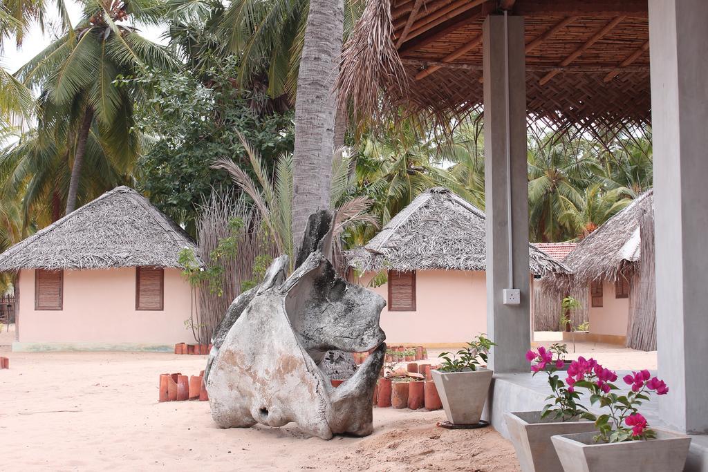 Cocodance Kitesurfing Resort Kalpitiya Exterior photo