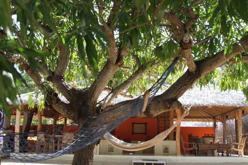 Cocodance Kitesurfing Resort Kalpitiya Exterior photo